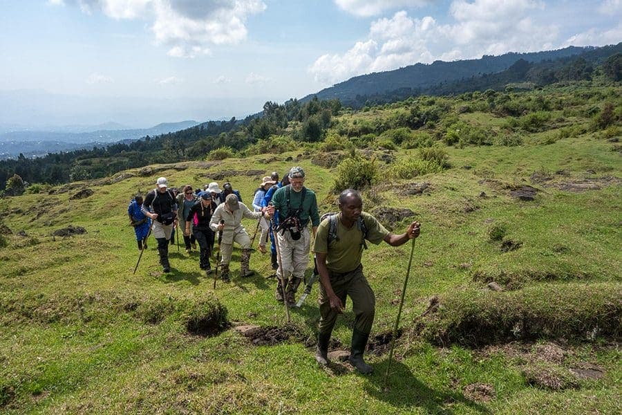 Gorilla Trekking Experience