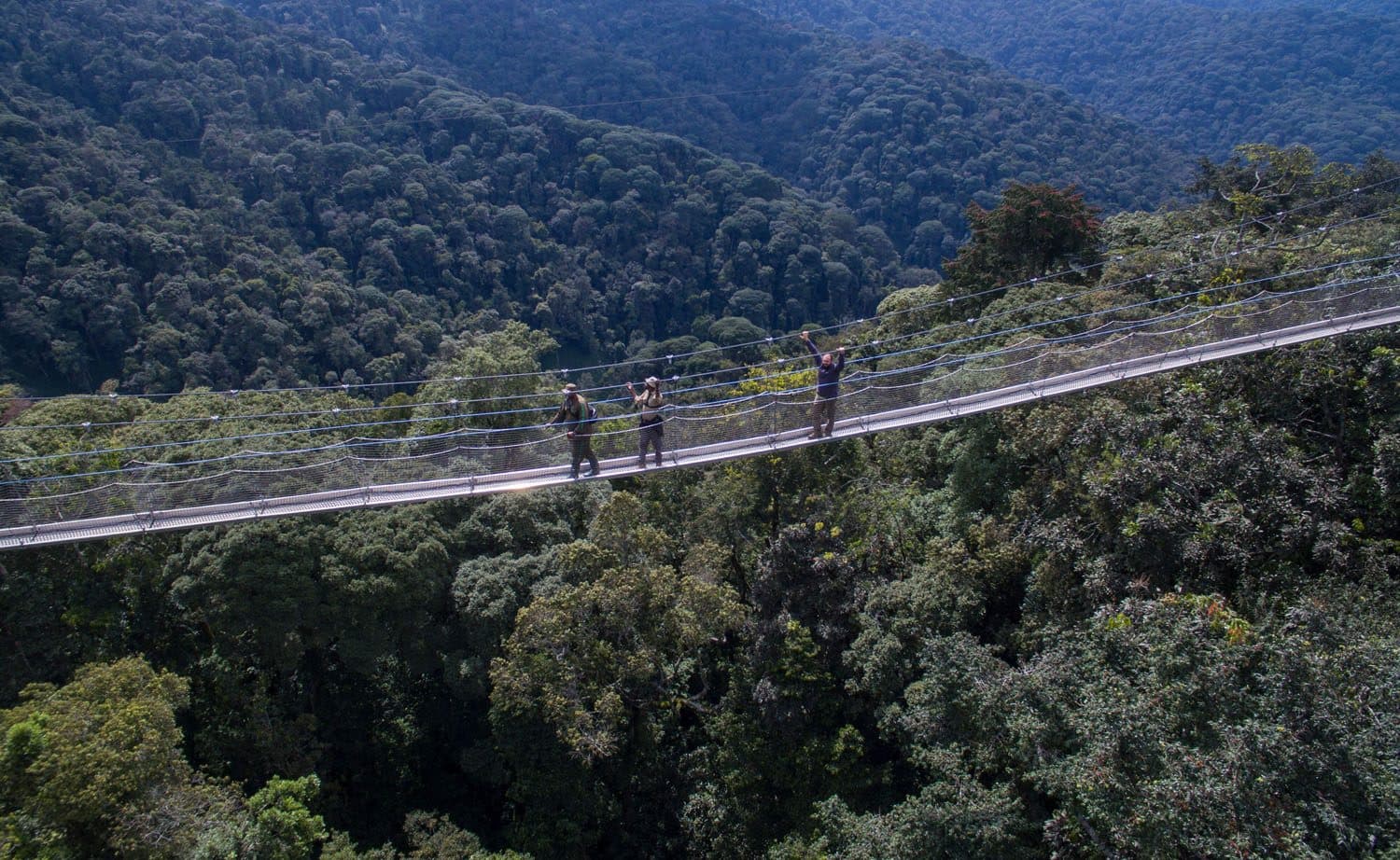 Nyungwe Forest